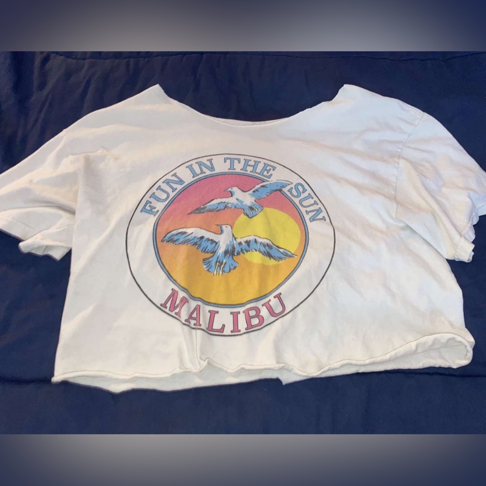 Brandy Melville cropped graphic OS